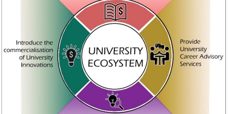 Reinventing universities towards entrepreneurship